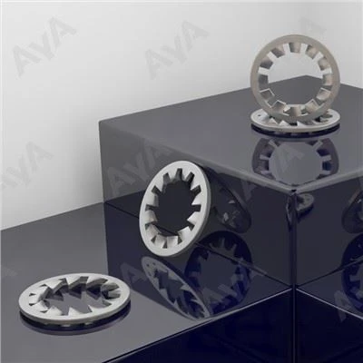 Stainless Steel Lock Washer